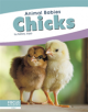 Animal Babies: Chicks - 9781641857444-thumb