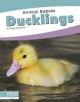 Animal Babies: Ducklings - 9781641857451-thumb