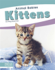 Animal Babies: Kittens - 9781641857482-thumb