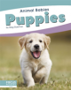 Animal Babies: Puppies - 9781641857505-thumb