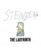 The Labyrinth - 9781681372433-thumb