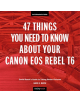 47 Things You Need to Know About Your Canon EOS Rebel T6 - Rocky Nook - 9781681984360-thumb