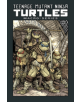 Teenage Mutant Ninja Turtles - 9781684054831-thumb