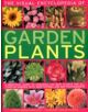 Visual Encyclopedia of Garden Plants - 9781780190976-thumb