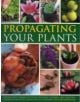 Propagating Your Plants - 9781780191454-thumb