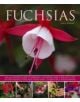 Fuchsias - 9781780192376-thumb