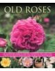 Old Fashioned Roses - 9781780192413-thumb