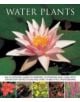 Water Plants - 9781780192420-thumb