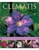 Clematis - 9781780192512-thumb