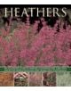 Heathers - 9781780192642-thumb