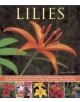 Lilies - 9781780192857-thumb