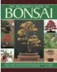 Beginner's Guide to Bonsai - 9781780193069-thumb