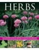 Herbs - 9781780193083-thumb