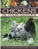 Keeping Chickens in Your Garden - 9781780193090-thumb