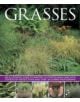 Grasses - 9781780193168-thumb