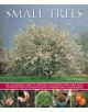 Small Trees - 9781780193212-thumb