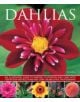 Dahlias - 9781780193229-thumb