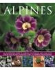 Alpines - 9781780193663-thumb