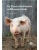 Pig Disease Identification and Diagnosis Guide - 9781780644622-thumb