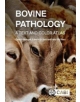 Bovine Pathology - 9781780646718-thumb