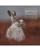 British Wildlife Photography Awards 8 - 9781781453193-thumb