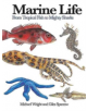 Marine Life - 9781782744450-thumb