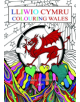 Lliwio Cymru / Colouring Wales - 9781784613556-thumb