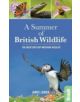 A Summer of British Wildlife - 9781784770099-thumb