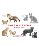 Cats & Kittens - 9781786272263-thumb