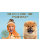 Do You Look Like Your Dog? - 9781786273390-thumb