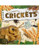 Crickets - 9781786377234-thumb