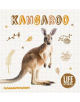 Kangaroo - 9781786377326-thumb