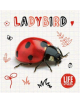 Ladybird - 9781786377340-thumb