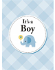 It's a Boy - 9781786857897-thumb