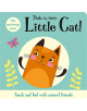 Peek-a-boo Little Cat! - 9781787008717-thumb