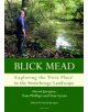 Blick Mead: Exploring the 'first place' in the Stonehenge landscape - 9781787070967-thumb