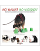 No walks? No worries! - 9781787115057-thumb