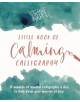 Kirsten Burke's Little Book of Calming Calligraphy - 9781787414990-thumb