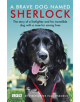 Sherlock: The Fire Brigade Dog - 9781787460836-thumb