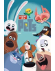 The Secret Life of Pets - 9781787732179-thumb