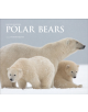 Polar Bears - 9781788840422-thumb