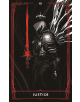 Diablo: The Sanctuary Tarot Deck and Guidebook-3-thumb