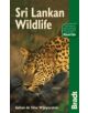 Sri Lankan Wildlife - 9781841621746-thumb