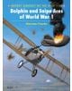 Dolphin and Snipe Aces of World War I - 9781841763170-thumb