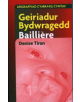 Geiriadur Bydwragedd Bailliere - 9781842200643-thumb