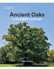 Ancient Oaks - 9781842466407-thumb