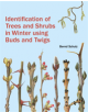 Identification of Trees and Shrubs in Winter Using Buds and Twigs - 9781842466506-thumb