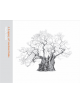 A Legacy of Ancient Oaks - 9781842466674-thumb