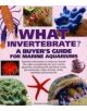 What Invertebrate? - 9781842861790-thumb