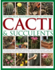 Practical Illustrated Guide to Growing Cacti & Succulents - 9781843093558-thumb